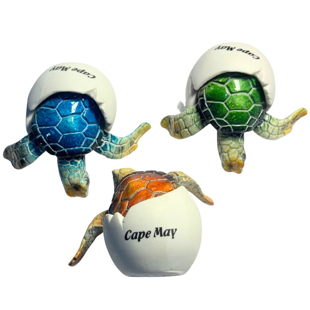 Cape May Turtle Hatchling Figurine