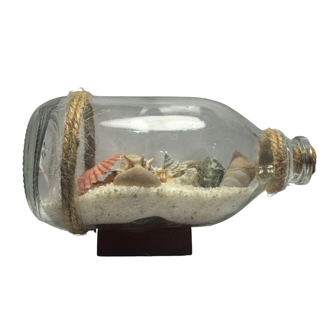 Seashell and Sand Bottle Display