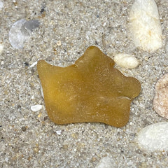 Amber Bonfire Sea Glass