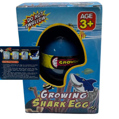 Growing Shark Egg