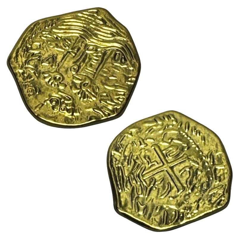 Pirate Treasure Coin