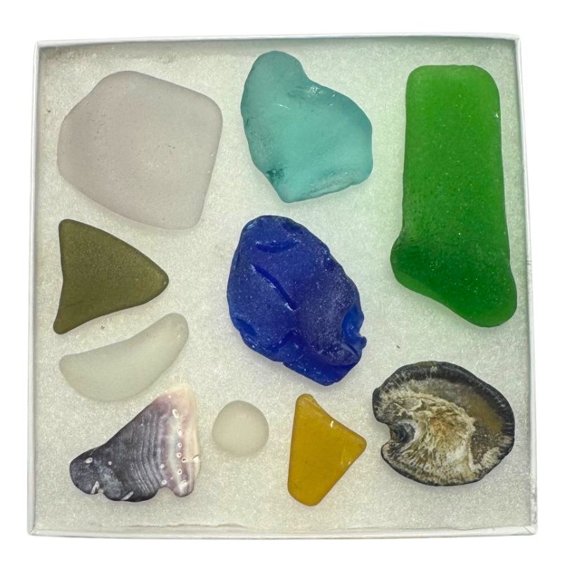 Seaglass Sampler #131