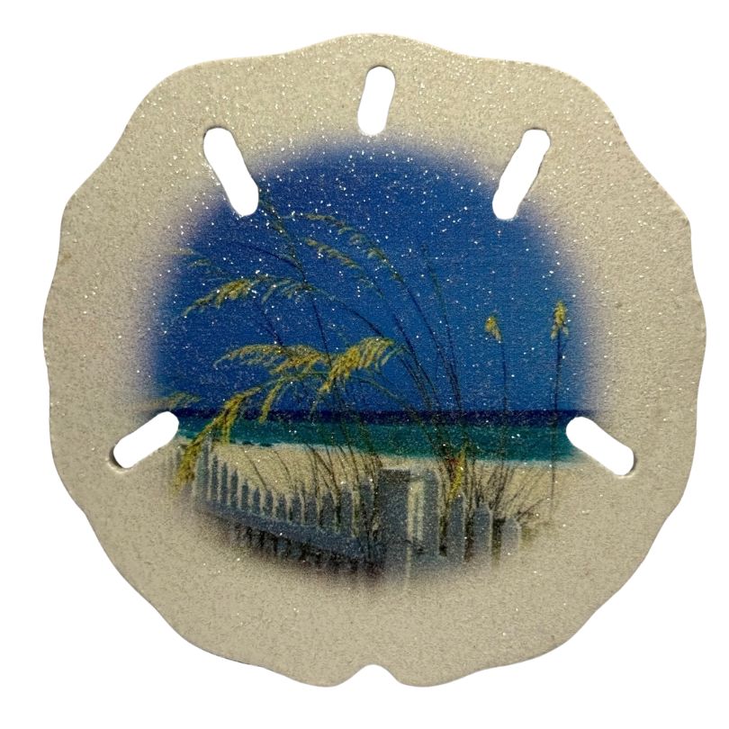 Sand Dollar Beach Scene Magnet