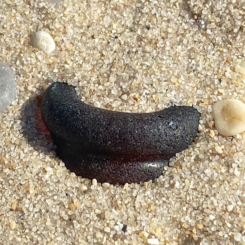 Half Moon Brown Sea Glass
