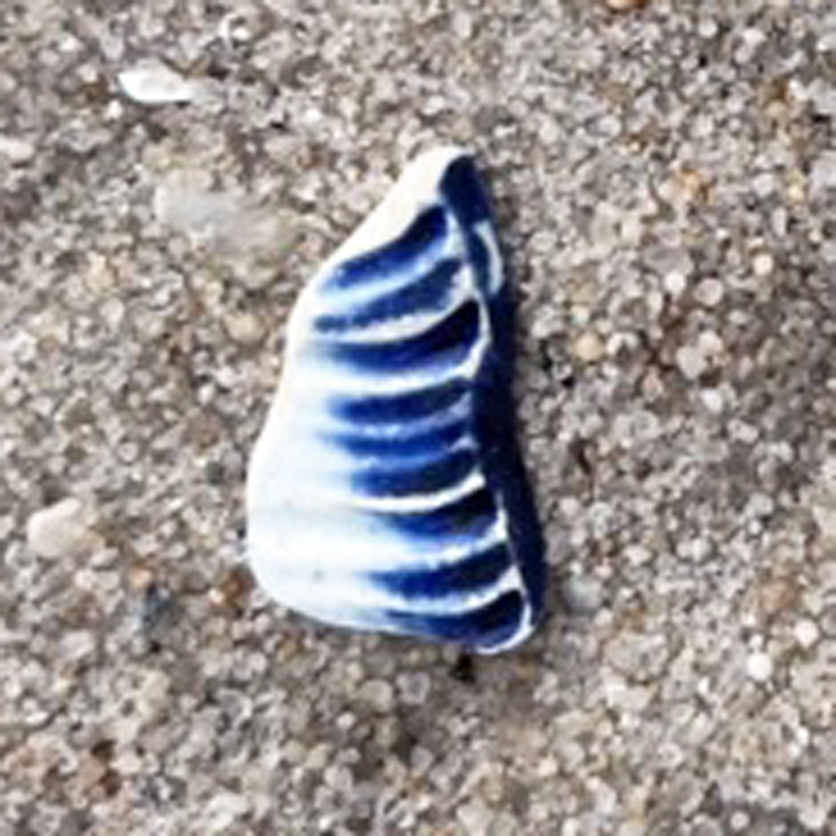 Small Vivid Blue Sea Pottery