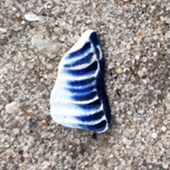 Small Vivid Blue Sea Pottery