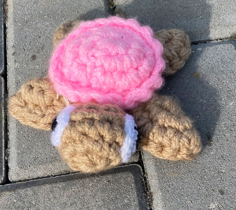 Hand Made Turtle from Ecuador