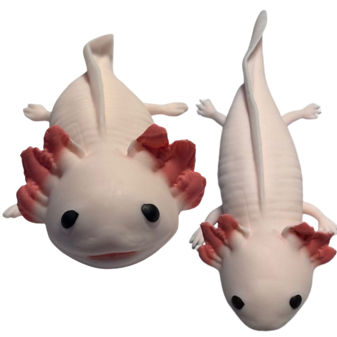 Squishy Adorable Axolotl