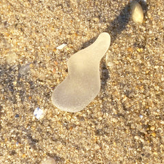 White Squiggle