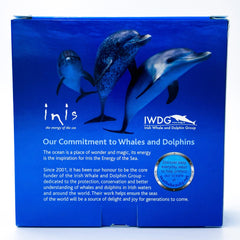 Inis Traveler Duo