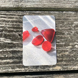 Sea Glass Identification Kit